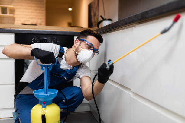 Best Residential Pest Control  in Budd Lake, NJ