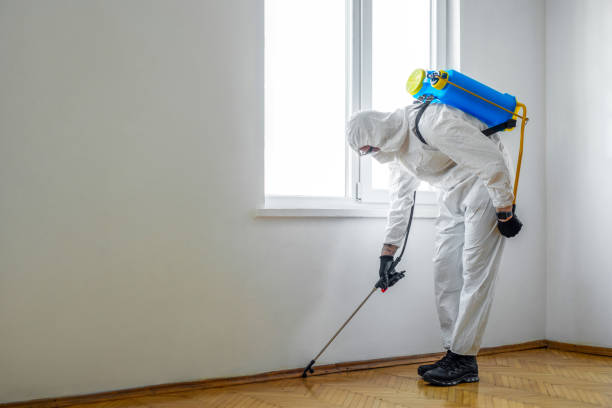 Pest Control for Restaurants in Budd Lake, NJ