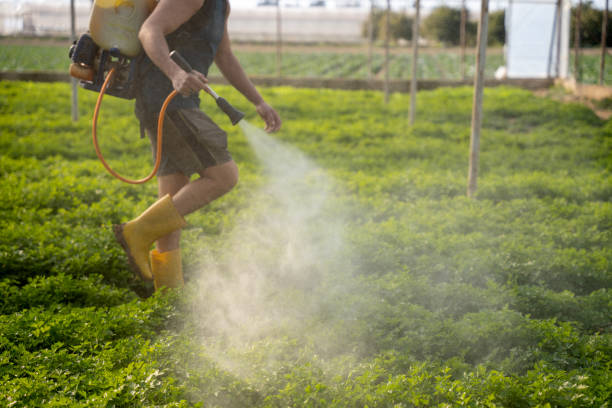 Best Pest Control for Restaurants  in Budd Lake, NJ