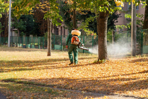 Best Termite Control Services  in Budd Lake, NJ