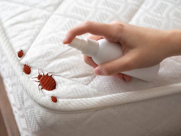 Best Pest Inspection Near Me  in Budd Lake, NJ